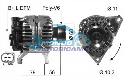 ALTERNATORE