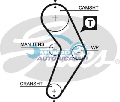 Timing Belt