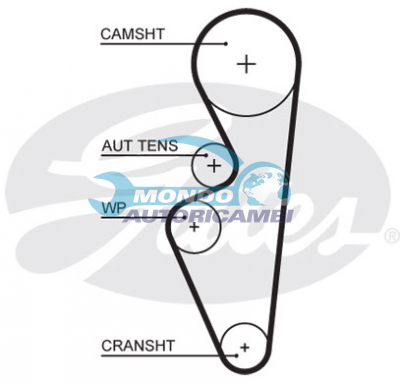 Timing Belt