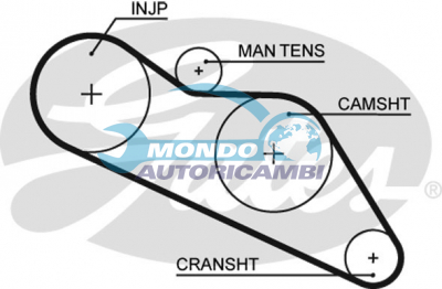 Timing Belt