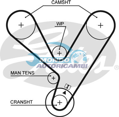 Timing Belt