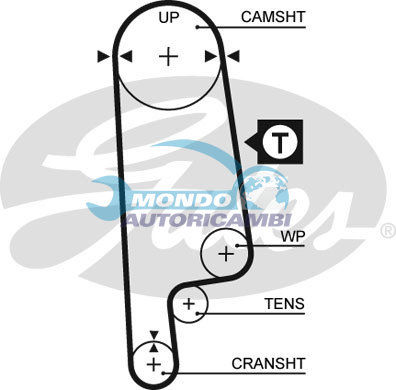 Timing Belt