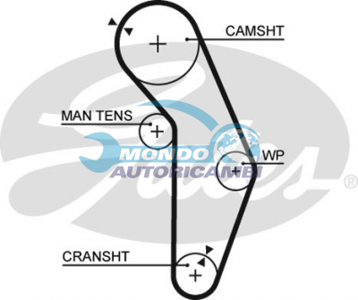 Timing Belt