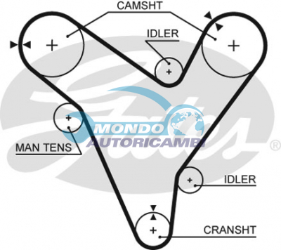 Timing Belt