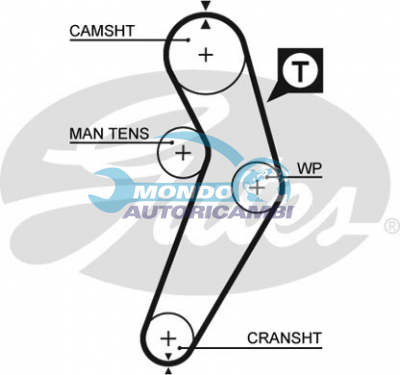 Timing Belt