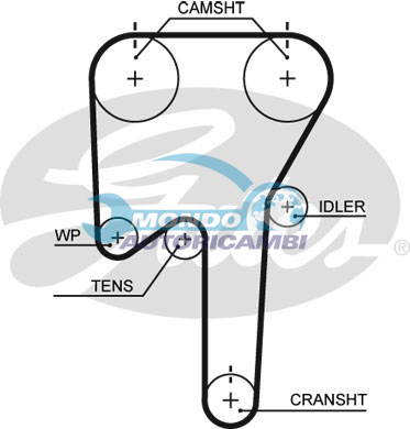 Timing Belt