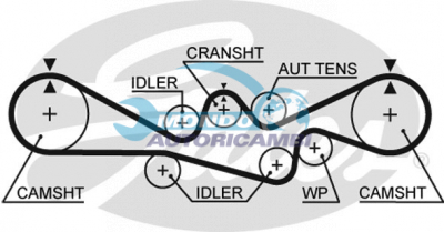 Timing Belt