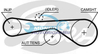 Timing Belt