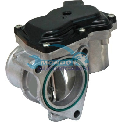 THROTTLE BODY