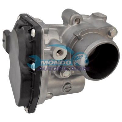 Throttle body