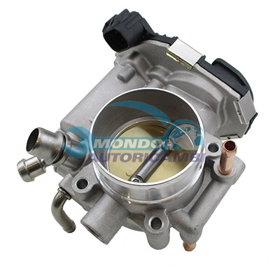 Throttle body