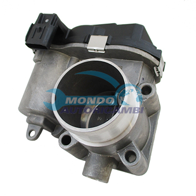 Throttle body