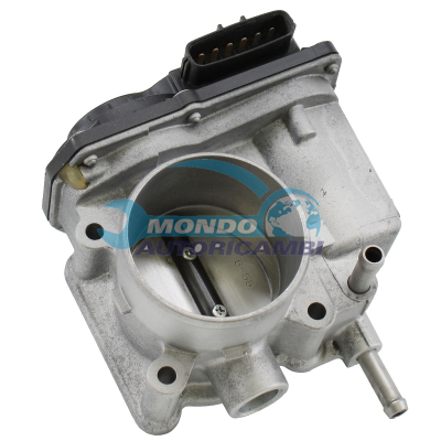 Throttle body