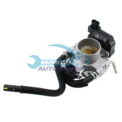 Throttle body