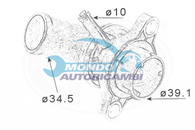 Thermostat, coolant