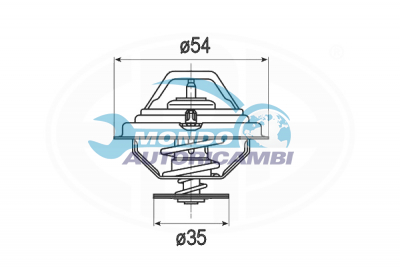 Thermostat, coolant