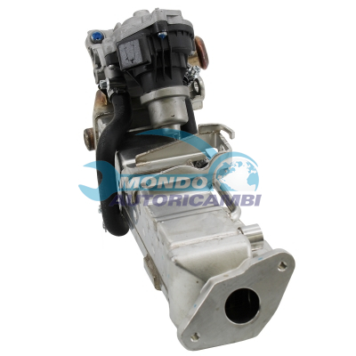 Conjunto EGR