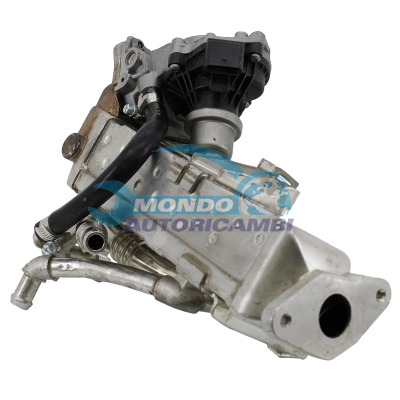Conjunto EGR